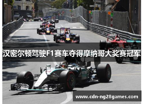 汉密尔顿驾驶F1赛车夺得摩纳哥大奖赛冠军