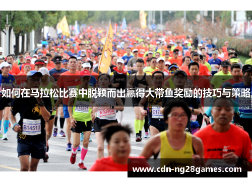 如何在马拉松比赛中脱颖而出赢得大带鱼奖励的技巧与策略