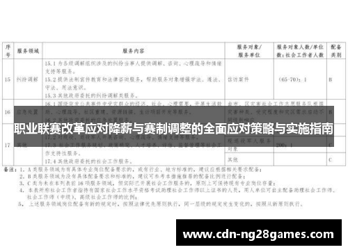 职业联赛改革应对降薪与赛制调整的全面应对策略与实施指南