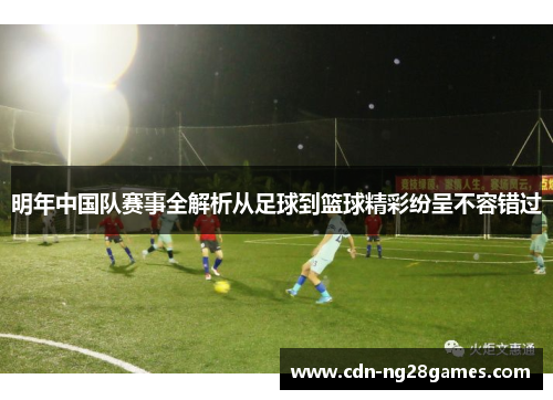 明年中国队赛事全解析从足球到篮球精彩纷呈不容错过
