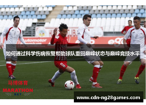 如何通过科学伤病恢复帮助球队重回巅峰状态与巅峰竞技水平