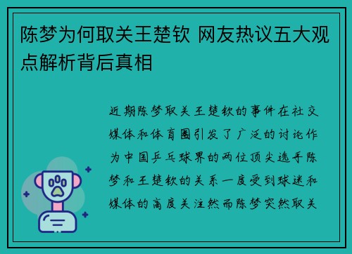 陈梦为何取关王楚钦 网友热议五大观点解析背后真相