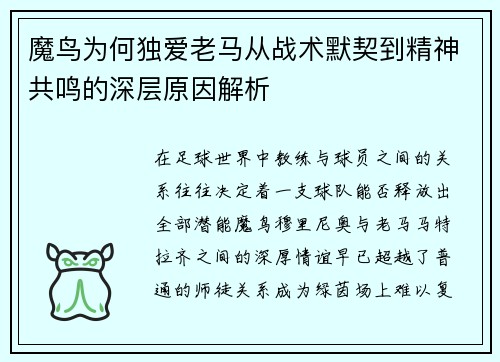 魔鸟为何独爱老马从战术默契到精神共鸣的深层原因解析