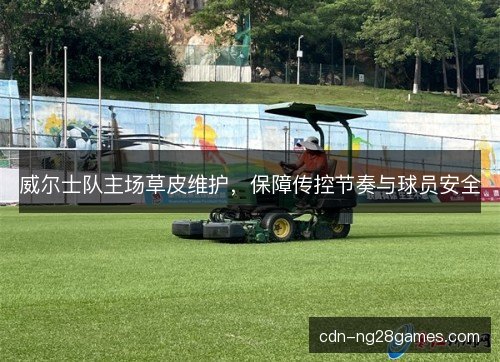 威尔士队主场草皮维护，保障传控节奏与球员安全