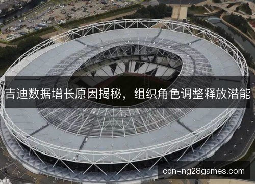 吉迪数据增长原因揭秘，组织角色调整释放潜能